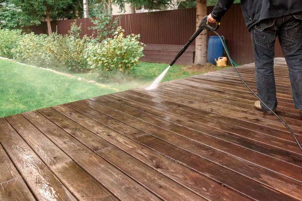 Best Soft Washing  in Cherokee, IA